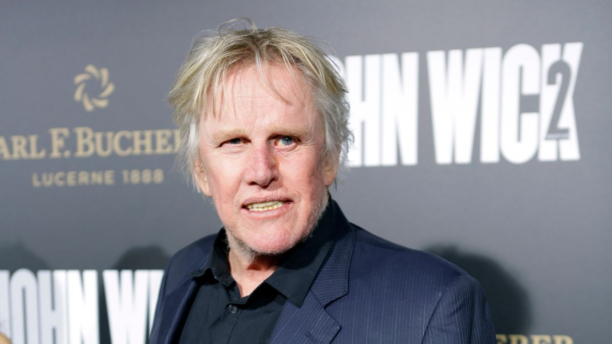 Actor Gary Busey charged with three counts of sex crimes at Horror Convention