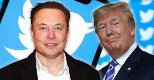 Elon Musk asks Twitter users to vote on reinstatement of Donald Trump