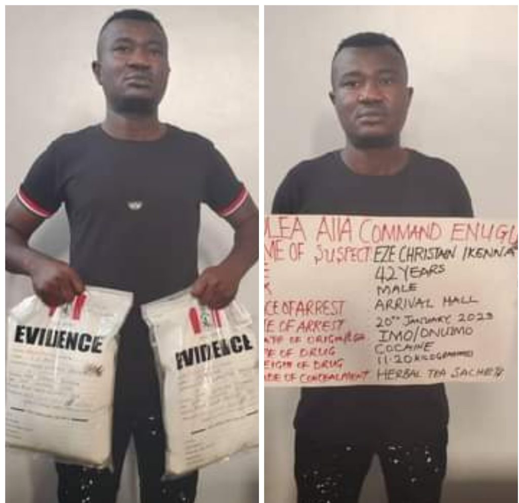Brazil returnee arrested as NDLEA intercepts cocaine, skunk consignments at Enugu airport and Lagos seaport