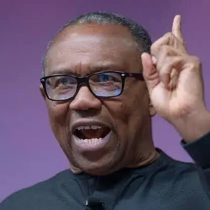 Peter Obi wins in Bola Tinubu?s campaign DG?s polling booth