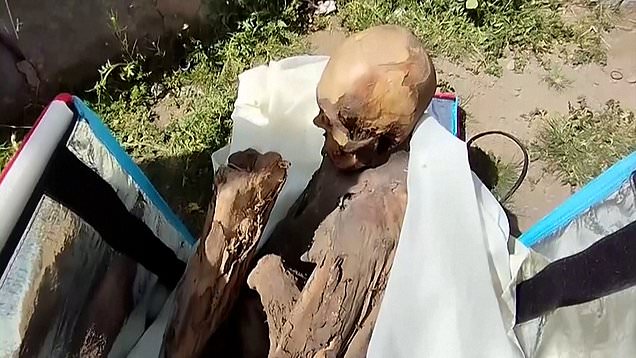 Police seize 800-year-old mummified human from man who claimed it was his 